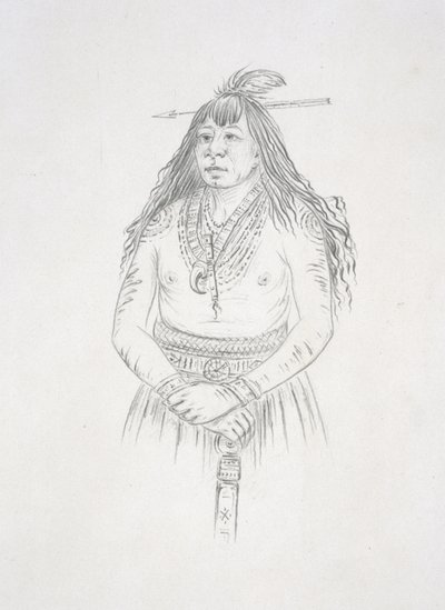 Bon son jee (Nieuw Vuur) door George Catlin